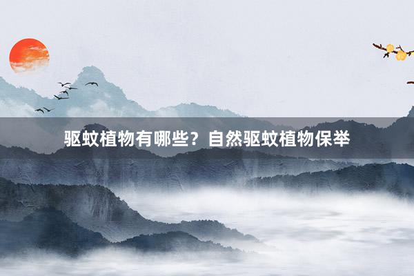 驱蚊植物有哪些？自然驱蚊植物保举