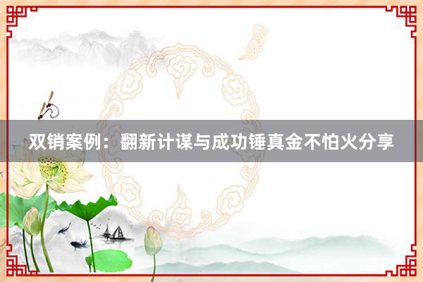 双销案例：翻新计谋与成功锤真金不怕火分享